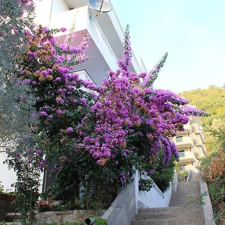 4M Apartments Petrovac Kültér fotó